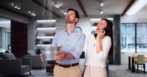 Best Mold removal after water damage  in USA